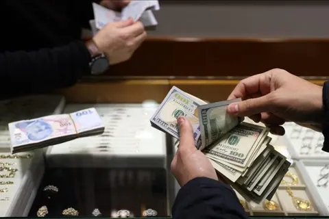 What is Currency Purchase Document – Döviz Alım Belgesi (DAB)